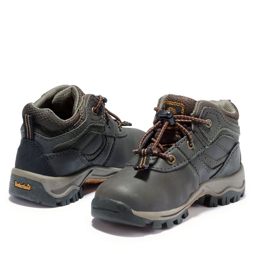 Botas de Caminhada Crianças - Timberland Toddler Mt. Maddsen Impermeavel - KLUBD0592 - Marrom